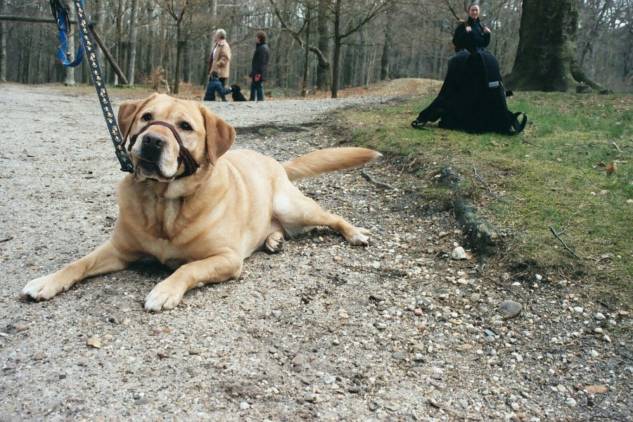 20040328 wandelen0002